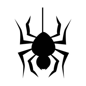 蜘蛛万圣节卡图标