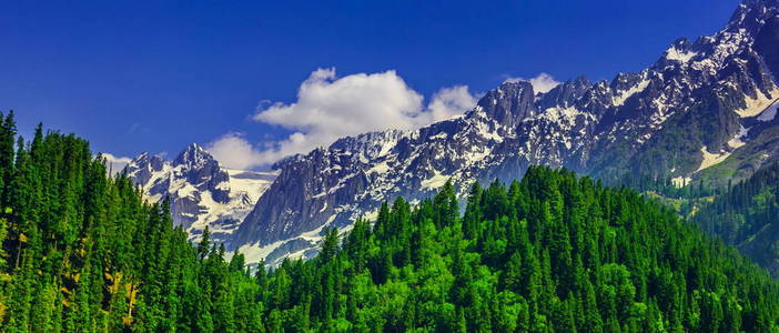 与印度 Sonamarg，查谟和克什米尔邦雪美丽山景