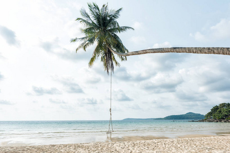 美丽的热带海滩和椰子树