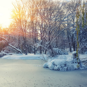 风景的杨柳树与第一场雪结冰的池塘