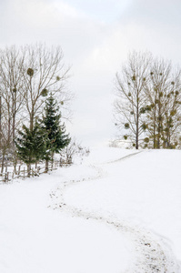 冬季景观, 通往雪山之巅的小路