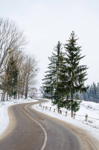 冬季景观，雪覆盖的公路上与树山