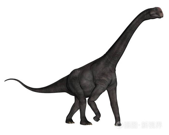 brontomerus恐龙3d渲染