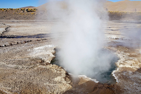 El Tatio 间歇泉智利