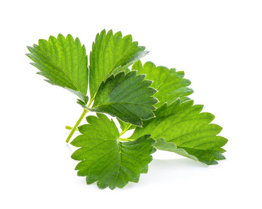 新鲜的夏日浆果.特写带叶子的草莓.