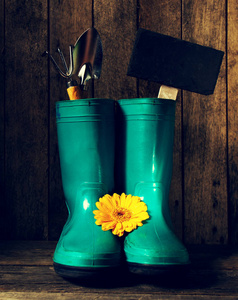 园艺工具与蓝色橡胶靴子，黄色的春天的花朵