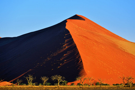 Sossusvlei，纳米布诺克国家公园纳米比亚