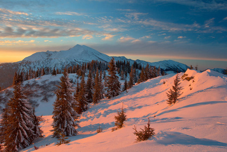 冬季森林和喀尔巴阡山脉