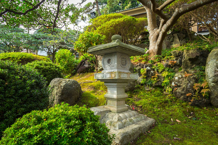 在镰仓的日本花园