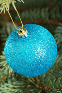 一个蓝色的圣诞舞会在树上举行。