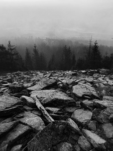 从清晨到秋天，雾蒙蒙的背景下，山丘逐渐增多。黑白照片。
