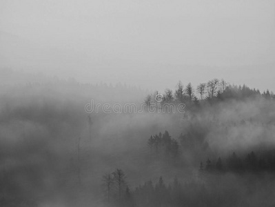 在波希米亚一座美丽的山上，秋天的日出。雾使群山的山峰增多。