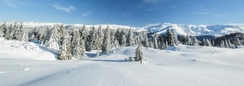 冬季高山雪山