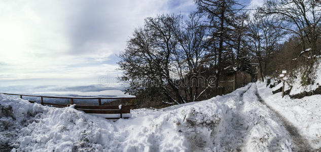 冬季景观，campo dei fiorivarese，意大利