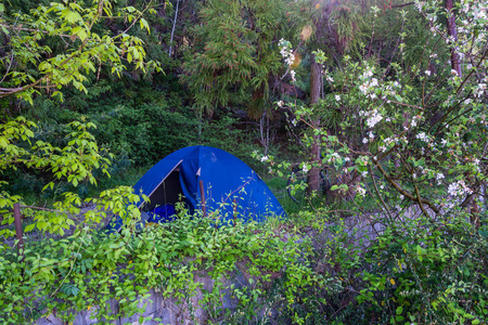 郁郁葱葱的森林中的蓝色帐篷