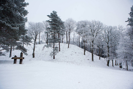 冬季 puckoriai 土堆, 立陶宛维尔纽斯