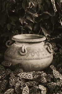 与旧陶器复古色调绿色家居花园装饰