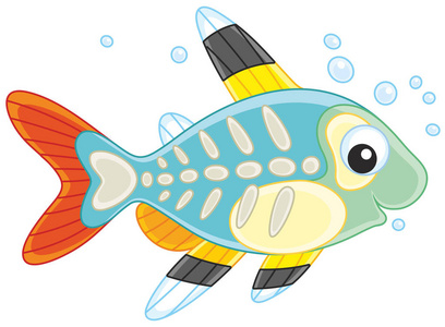 香椿鱼x 射线鱼照片