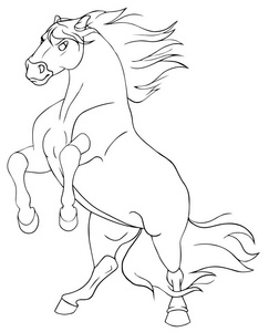 饲养马精美的矢量动画剪影   黑白色.eps 10 矢量图插画