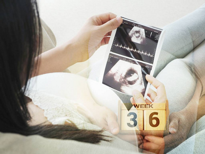 双 exproure 的控股超声扫描和日历 36 周的孕妇。孕妇保健的概念