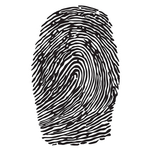 指纹矢量图照片