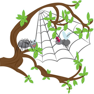 蜘蛛在 web 中引起了一只苍蝇照片