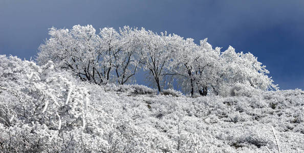 高加索地区冬季景观