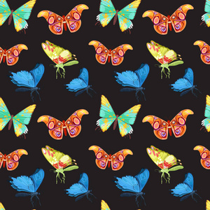 五彩缤纷的蝴蝶设置。矢量图