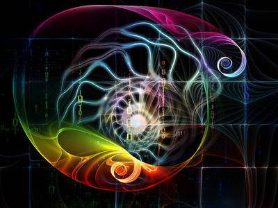 能量的曲线鹦鹉螺海壳一起指已提到的人荷兰人的海岸线克罗地亚壮丽的