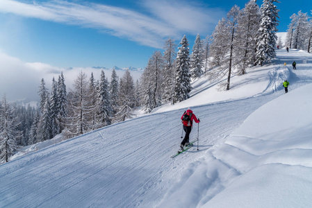 在阿尔卑斯山的滑雪者