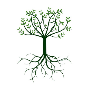 绿树和根。矢量图
