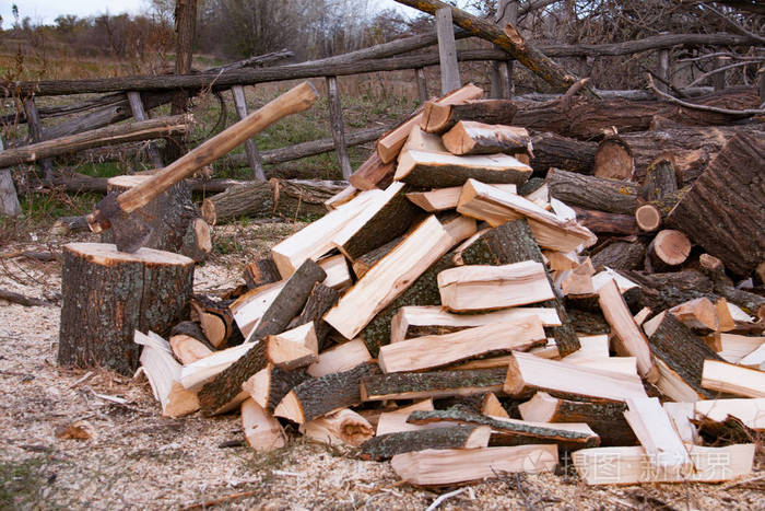用斧头砍柴堆.准备在村子里过冬