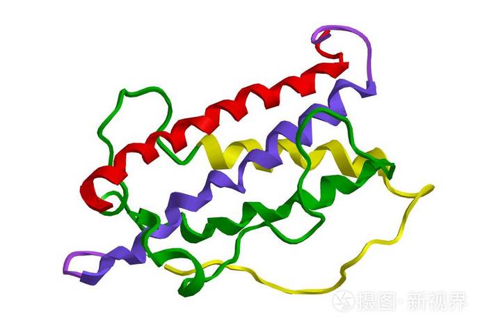 分子结构的生长激素生长激素3d渲染