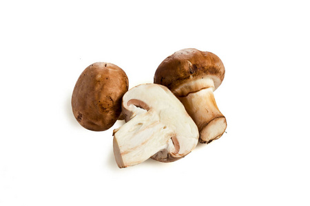 在白色背景上的蘑菇