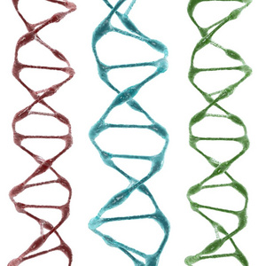 有机的 Dna 分子白色背景