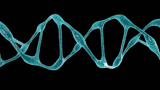 有机的 Dna 分子