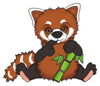 吃竹叶的小熊猫图片