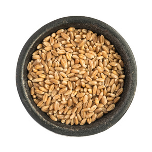 原料小麦堆原料干小麦粮食谷物堆在黑色的铁碗照片