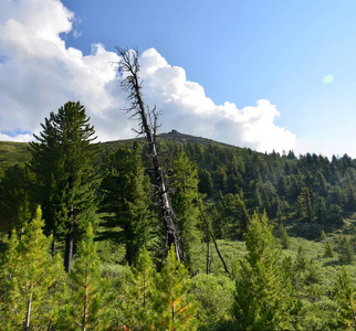 旅行到阿尔泰山