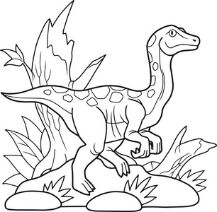 龙鸡图片-龙鸡素材-龙鸡插画-摄图新视界