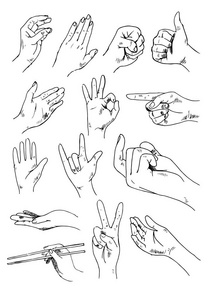 向量组的手和手势大纲图