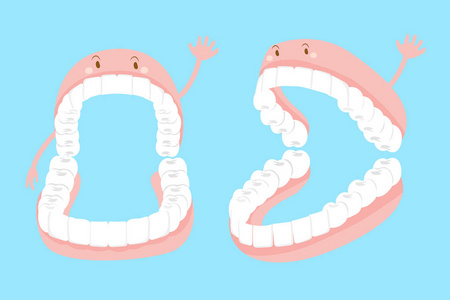 卡通假牙与牙龈