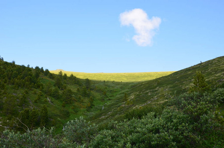 旅行到阿尔泰山