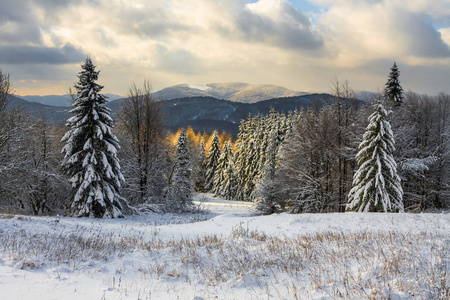 美丽的冬天景观的山区 Bieszczady，波兰