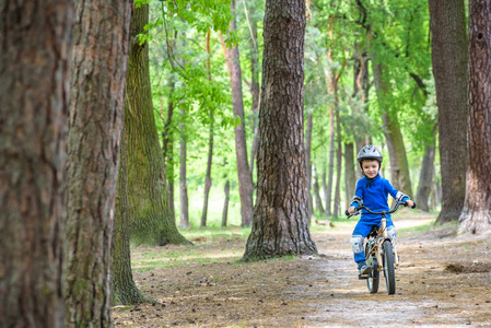 快乐的孩子男孩开心在秋季或高山夏季森林用一辆自行车上美丽的秋天的春日的 4 年。体育活动子。安全 休闲孩子概念
