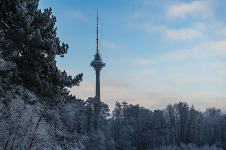 美丽的冬季景观树木在霜冻的冬日, 和电视塔