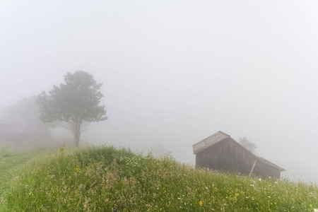 夏日风景。在乌克兰喀尔巴阡山村庄