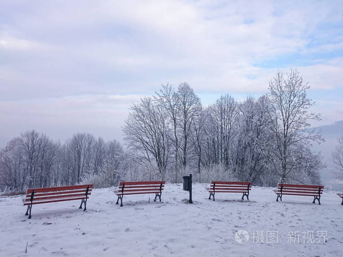 冬天的风景与雪, 长凳覆盖着雪在寒冷的冬天的树木