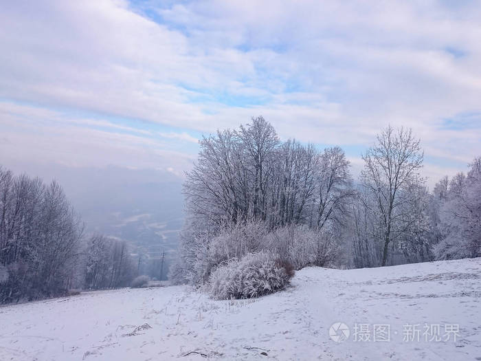 雪草甸与雪树景观