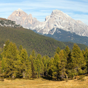 落叶松木材和 Le Tofane 集团，Dolomiti，意大利
